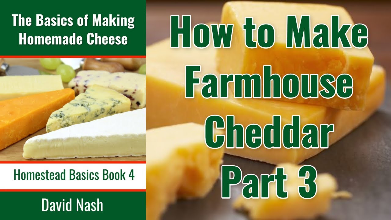 How to Make Farmhouse Cheddar Cheese III Molding and Pressing the Curd