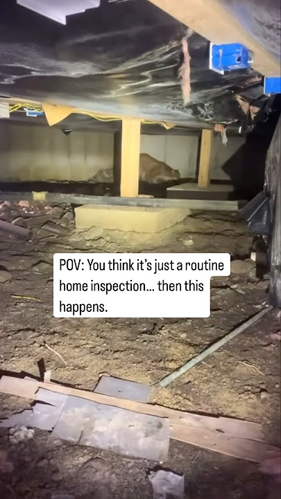 Home inspection #homeinspection #homeinspector #newhome #newhouse #electrician #plumber