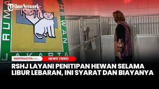 RSHJ di Jaksel Layani Penitipan Hewan Selama Libur Lebaran Idulfitri 2025, Ini Syarat dan Biayanya