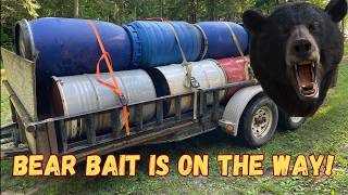 This year's bear bait, trail mix for bear hunting
