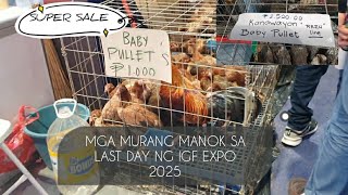 MGA MURANG MANOK SA LAST DAY NANG IGF EXPO 2025  SMX MANILA #IGFEXPO #smxconventioncenter