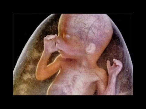 Video: Vědci Vytvořili Umělé Lidské Embryo Z Kmenových Buněk - Alternativní Pohled