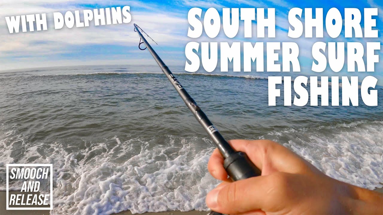 Live Bait Surf Fishing on Long Island's South Shore with DOLPHINS! SUMMER YouTube
