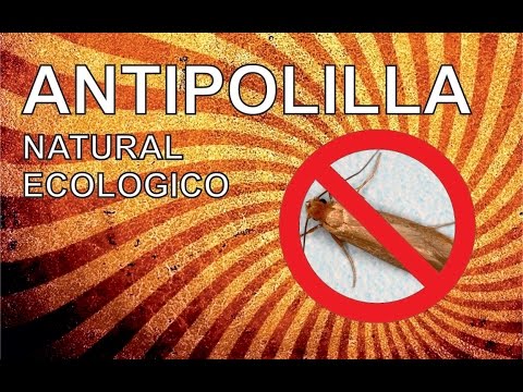 ANTIPOLILLAS Y ANTILEPISMAS NATURAL, ECOLOGICO Y BARATO