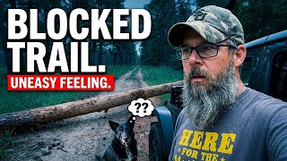 Something Wasn't Right in That Forest