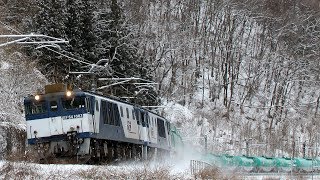 EF64中央西線貨物列車  国鉄色重連も登場！ 2019年1月