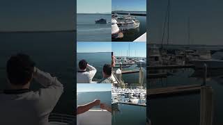 Autistic Kids Experience Pure Joy on a Dolphin Cruise 🐬💙