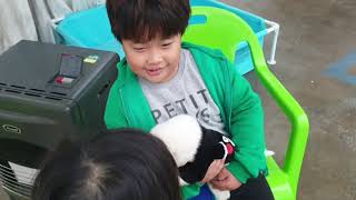 챌린지팜 영상