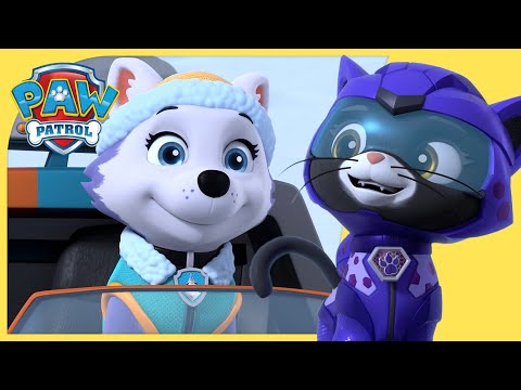 PAW PATROL - SKYE AND RORY TEAM UP