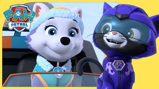 Skye and Rory Team Up +MORE 😸 🎨| PAW Patrol | Cartoons for Kids