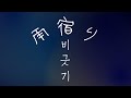 펜트하우스(ペントハウス, Penthouse) - 비 긋기(雨宿り, Umbrella) [가사/발음/번역/해석]