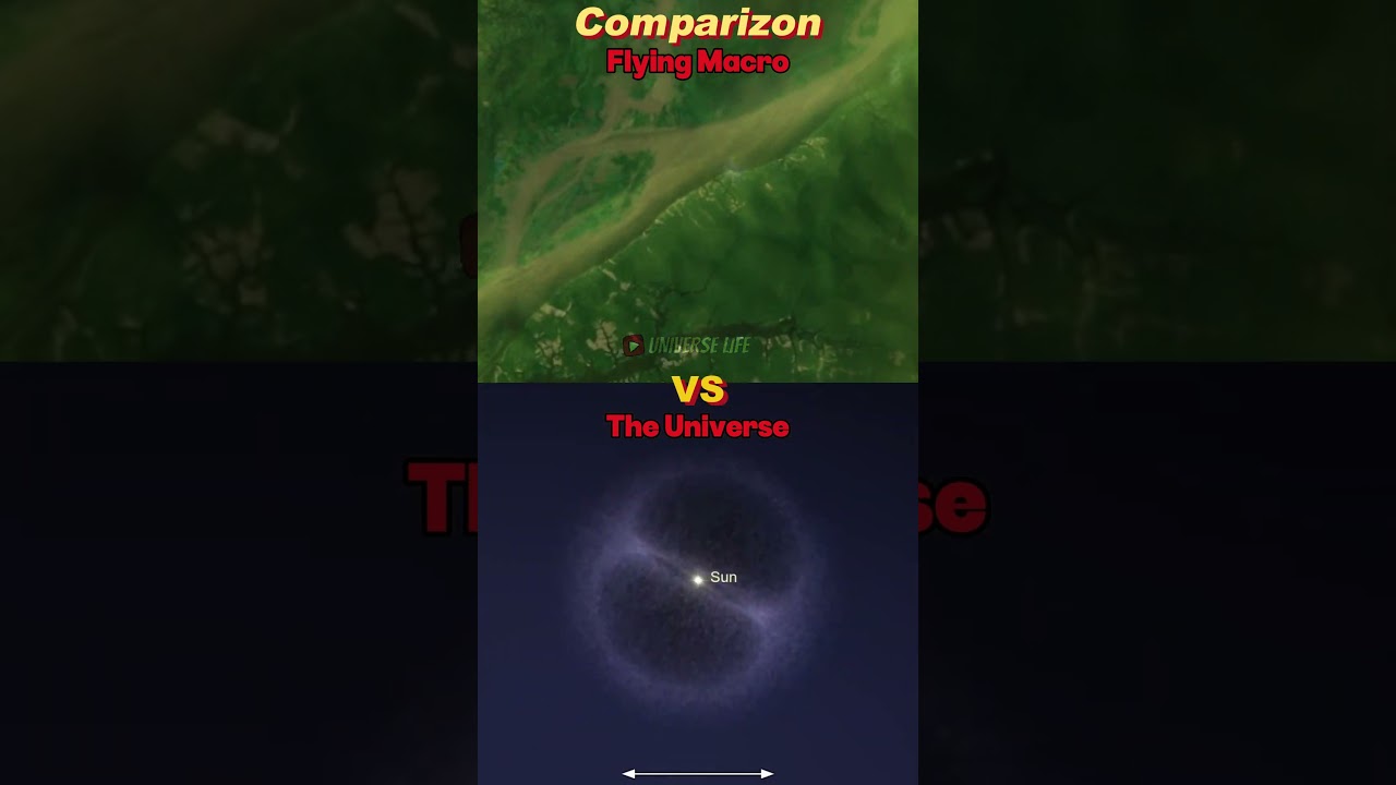 Universe Vs Flying macro Zoom In/Out Comparison 