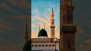 ya shahe Madina sallay Ala 🕋🕋🤲🤲🕋🕋💚💚 Islamic short video