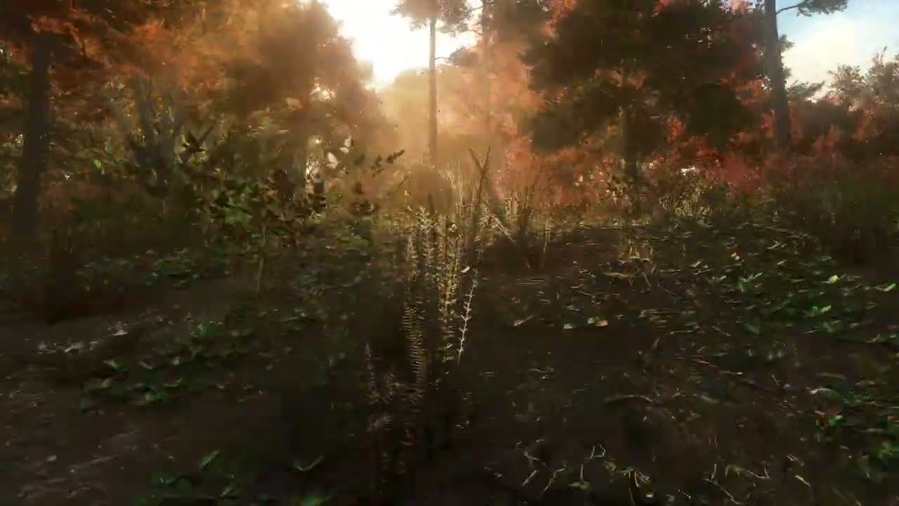 ASMR Farming Simulator 25 - A Day in the Forest