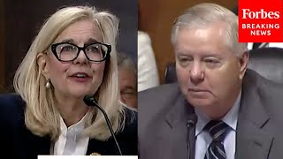 'You Have Very Little Criminal Practice': Lindsey Graham Confronts Nominee Over Her Experience