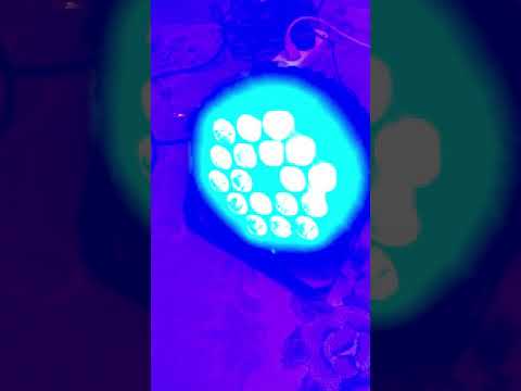 Led par Free Color p1815