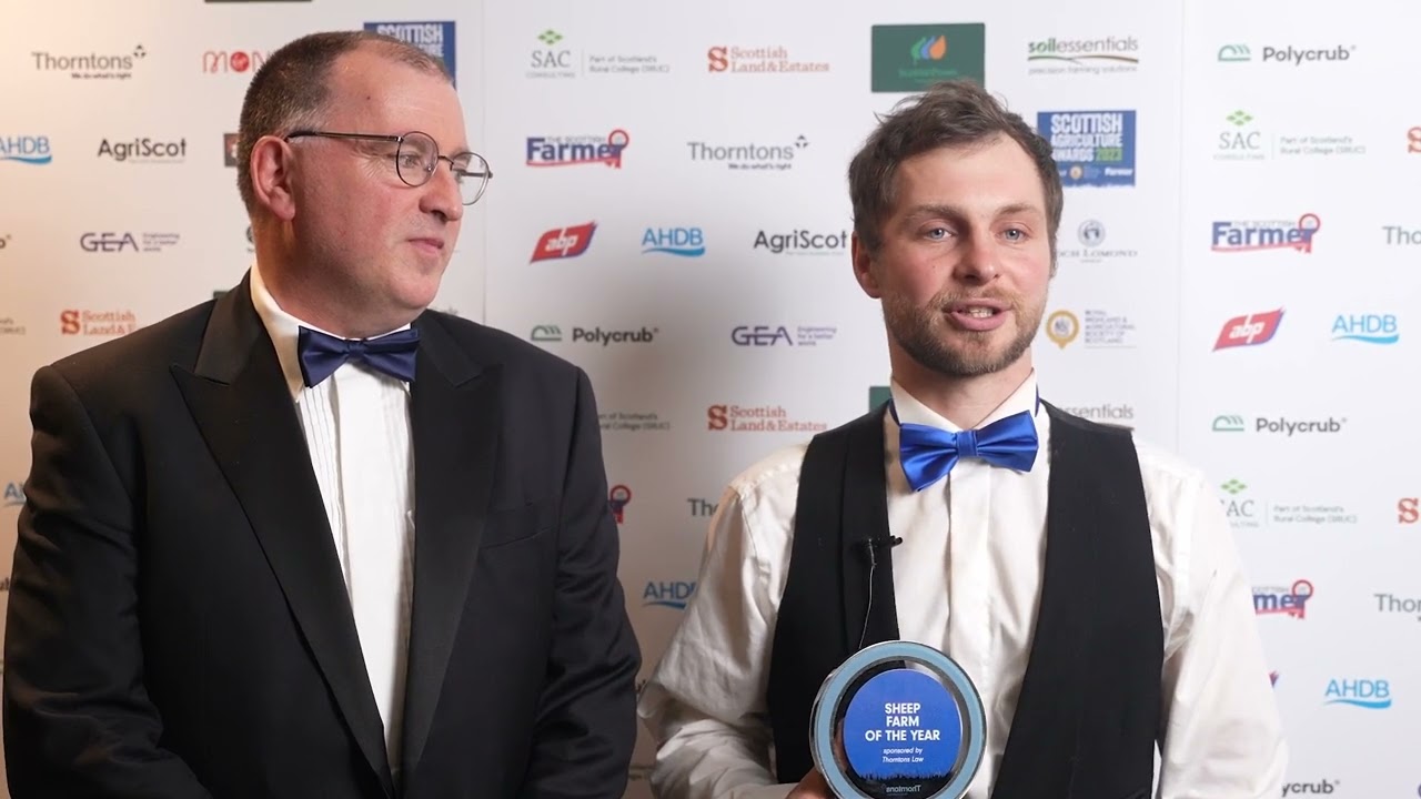 Windshiel Farm: Sheep Farm of the Year, A Family Triumph