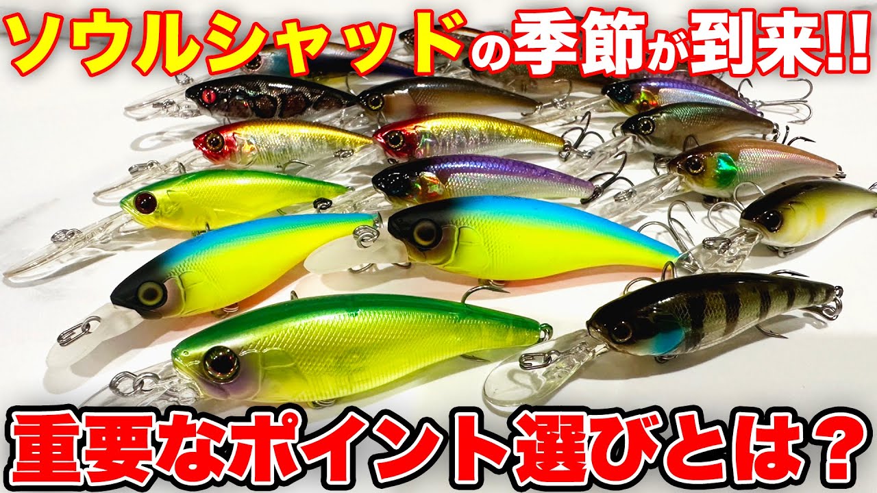 What are the key points for fishing with the Soul Shad? [Soul Fest