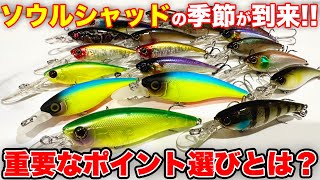 What are the key points for fishing with the Soul Shad? [Soul Fest