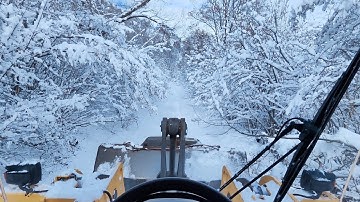 Hidden Dangers of SNOW PLOWING Under Trees