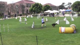 Tracy and Rosie Jumpers 3 21 14