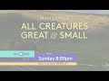 All Creatures Great and Small On Masterpiece: Second Time Lucky