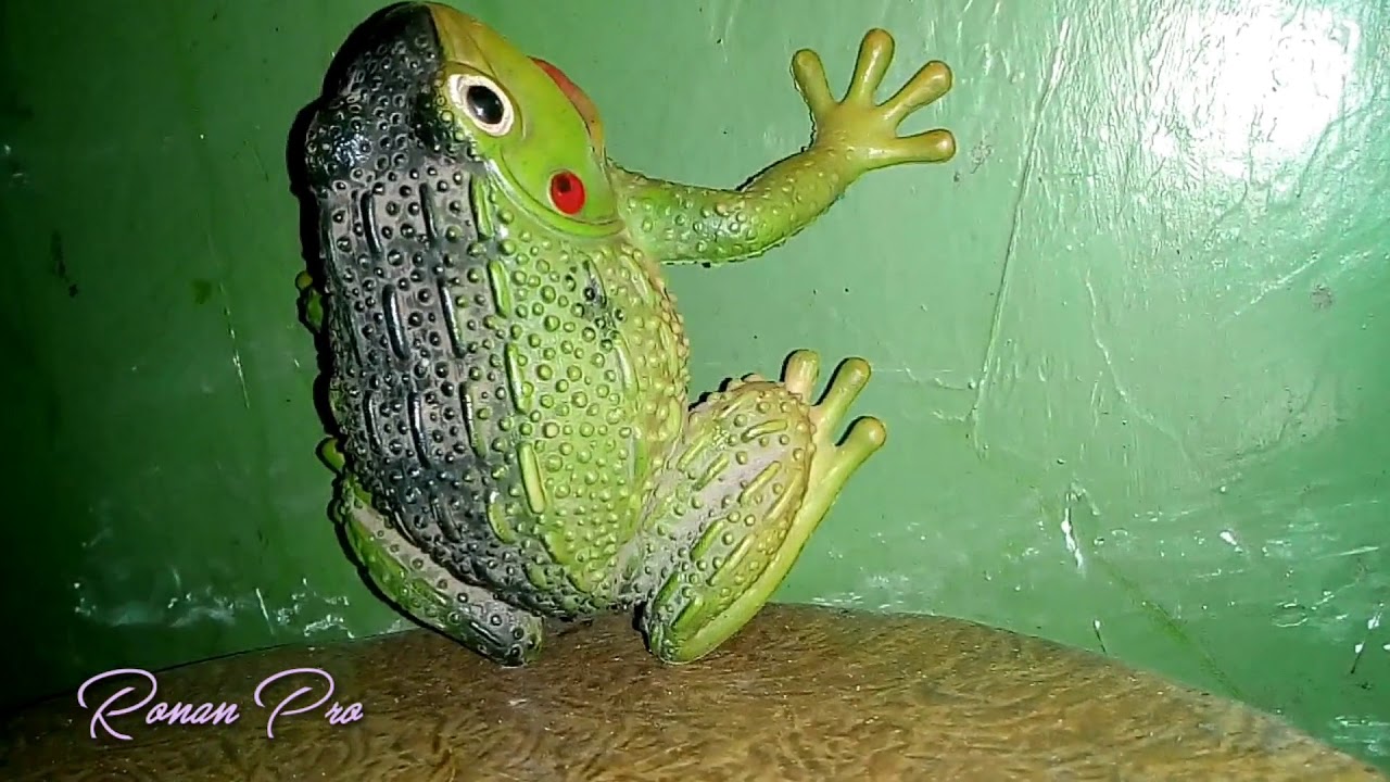 Kodok ijo Ronan Jaya Toys YouTube