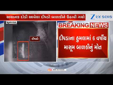 Junagadh: Leopard Mauls 6-Year-Old Girl to Death at Dedkiyali Village; Incident Caught on Cam