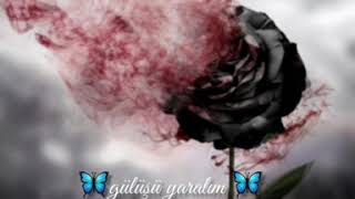 Hazan Nedir . Deniz Toprak
