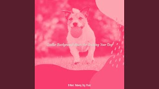 Easy Backdrops for Training Your Dog