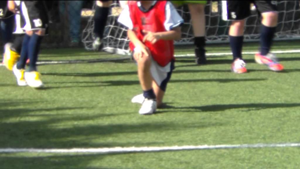 BELLE PARATE PULCINO PRIMO ANNO 8 ANNI