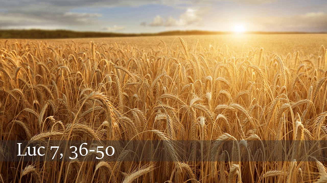 Évangile du jour : Évangile selon Saint-Luc - Lc 7, 36-50