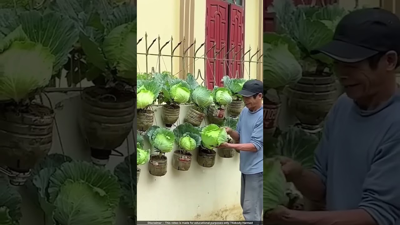 Farming at home with us 