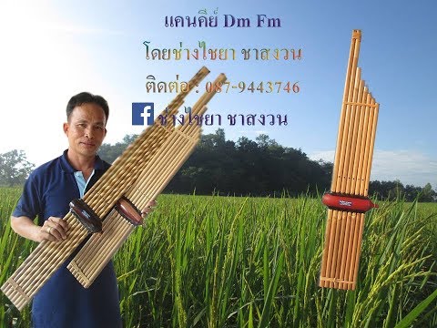 แคนคีย์ Dm Fm ช่างไชยา ชาสงวน