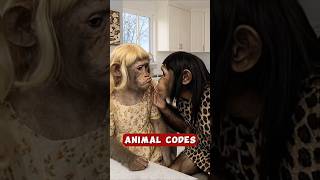 The Strangest Animal Communication You’ve Ever See. 😱