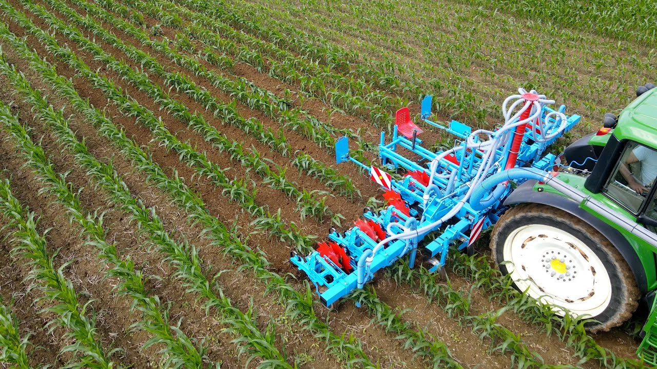 Binage de maïs avec un apport d'engrais solide en 1 seul passage!! 🌽😎