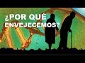 ¿POR QUÉ ENVEJECEMOS?