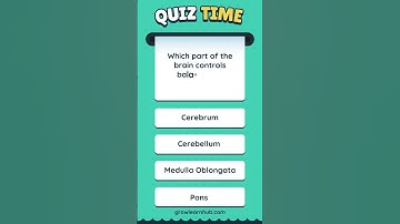 Which part of the brain controls balance and coordination #shorts #gk #biology #brain #quiz