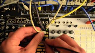 Celebrity Make Noise Teleplexer Routing Audio Feedback Wealth