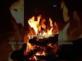 Why Watching Fire Feels So Peaceful 🔥🧠