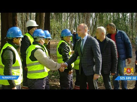 ბოტანიკური ბაღის რეაბილიტაცია დაიწყო.