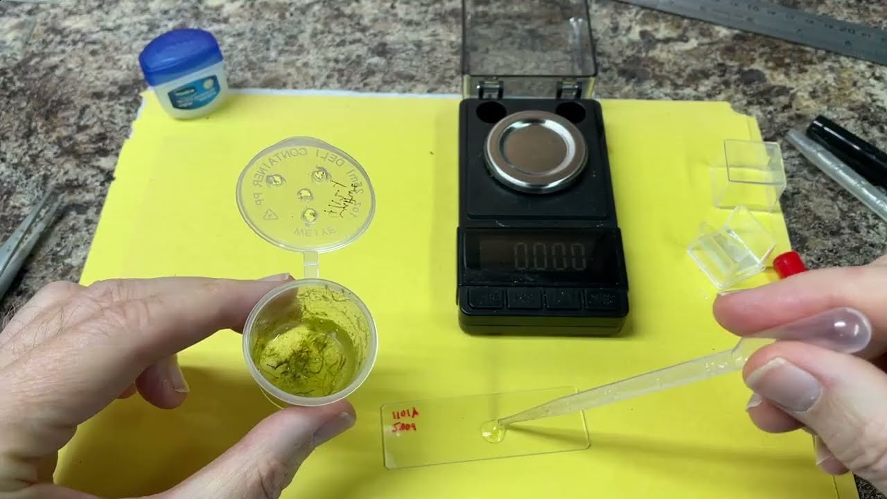 DIY sealed micro-ecosystem for microscope timelapse videos