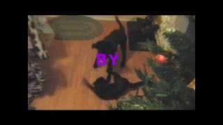 Surprised Kitty (Original)