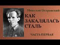 Николай Островский Как закалялась сталь Часть первая Аудиокнига 