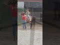 #horse #konie #koniara #equestrian #jazdakonna