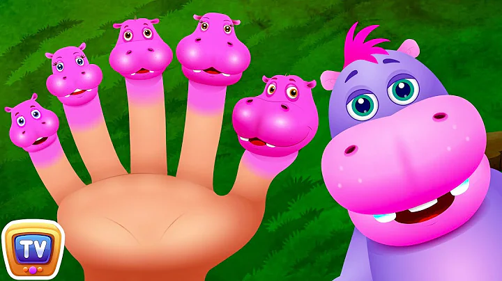 Finger Family Hippo | ChuChu TV Animal Finger Family Nursery Rhymes Songs For Children