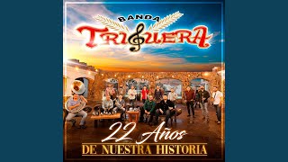 Versión 2 del video