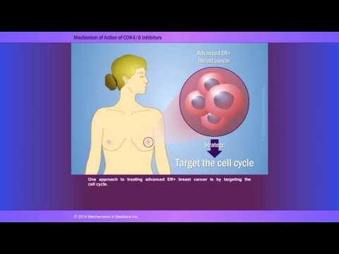 Video: Mērķtiecība Pret Ciklinatkarīgajām Kināzēm (CDK) 4/6 Estrogēna Receptoru Pozitīvā Krūts Vēža Gadījumā