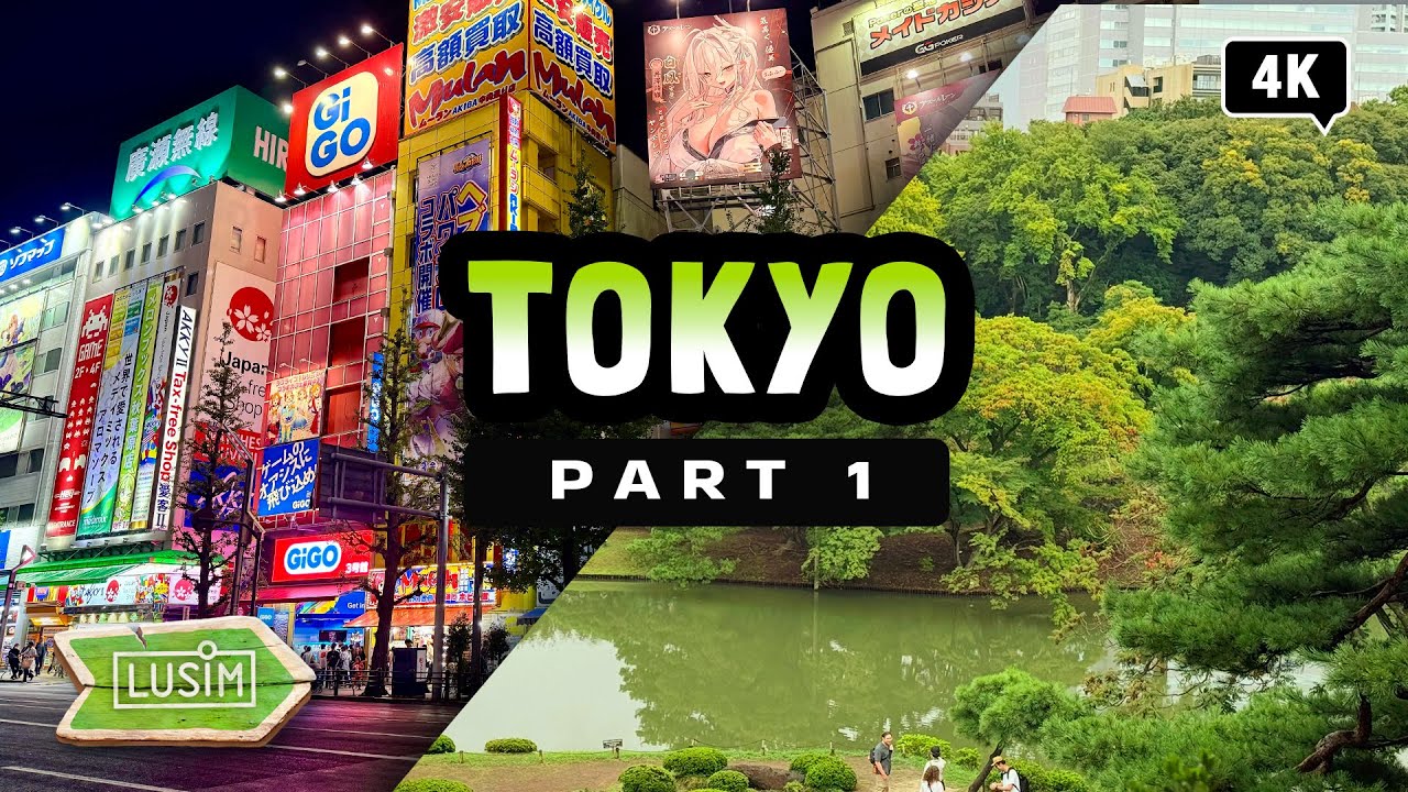 Токио - парки и ночной город  4K: Rikugien Gardens, Nezu Shrine и Akihabara | Tokyo Travel Vlog 4К