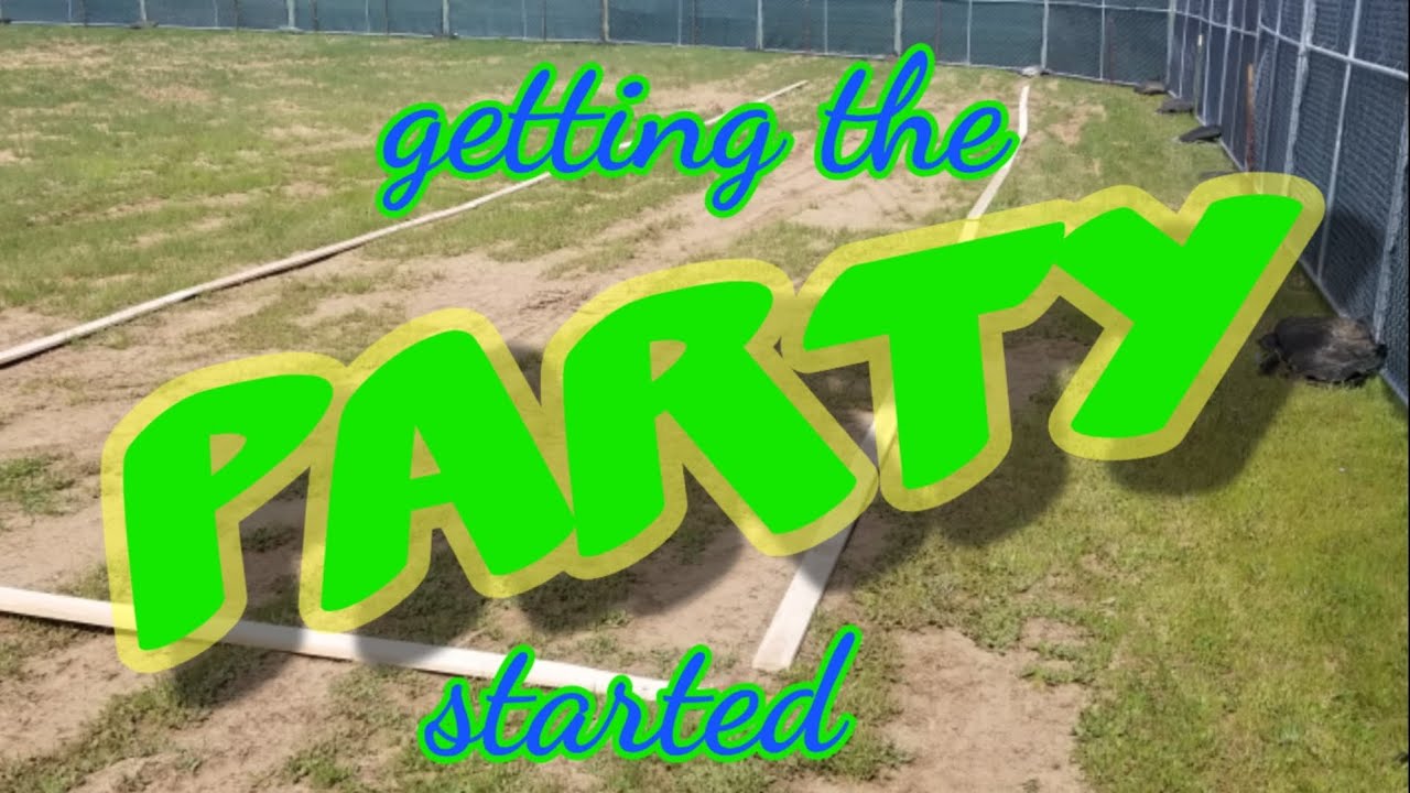 Starting a hemp farm: Part 1